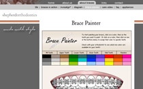 Brace Painter