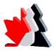 Canadian Association of Orthodontics (CAO)